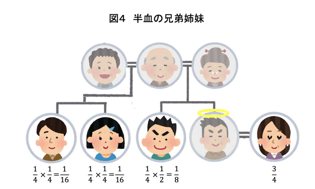 図４_半血の兄弟姉妹